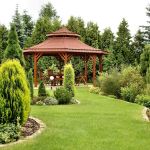 Diego & Gaby's Landscaping Co.