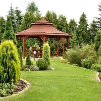 Diego & Gaby's Landscaping Co. ico