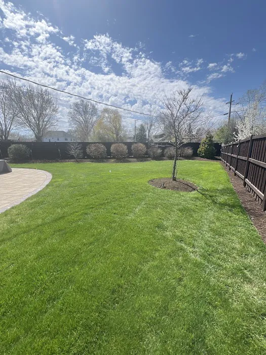 Ron's Landscape & Snow Removal Picture 3