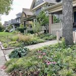 Planted Green LLC