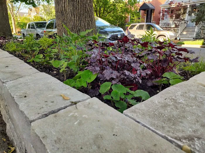 Planted Green LLC Picture 6