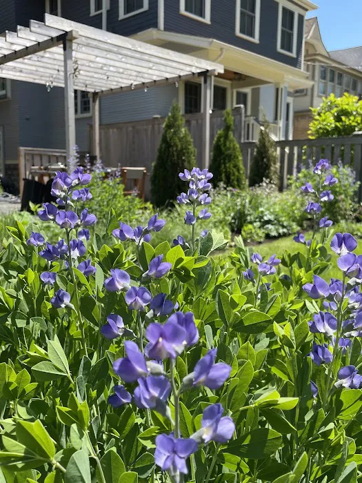Planted Green LLC Picture 9