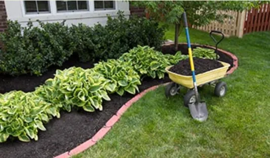 Fox Landscaping Picture 1