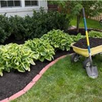 Fox Landscaping ico