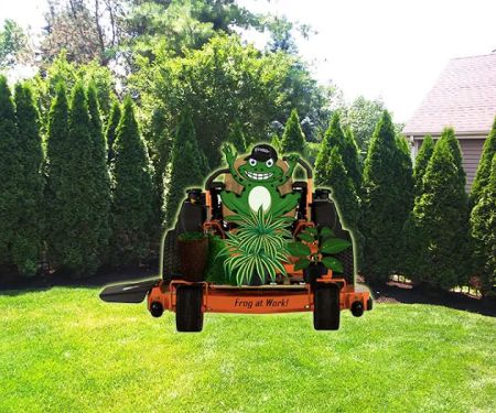 Froggy's Landscaping