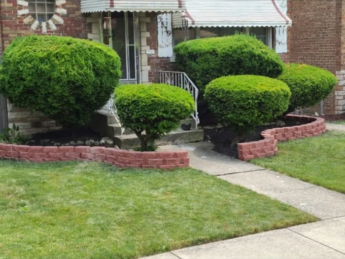 Yuritzy cc Landscaping Inc Picture 4