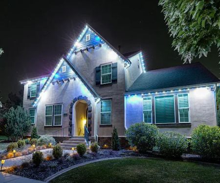 Revive Your Lawn & Trimlight Chicago