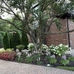 M & M Landscaping