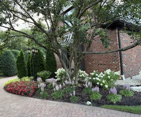 M & M Landscaping