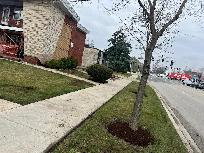 Sergio One Landscaping Inc Picture 1