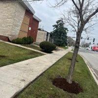 Sergio One Landscaping Inc ico