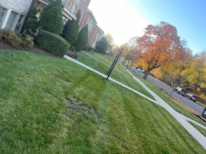 Sergio One Landscaping Inc Picture 10