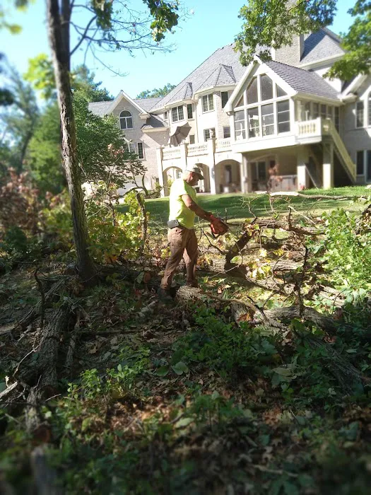 Sergio One Landscaping Inc Picture 6
