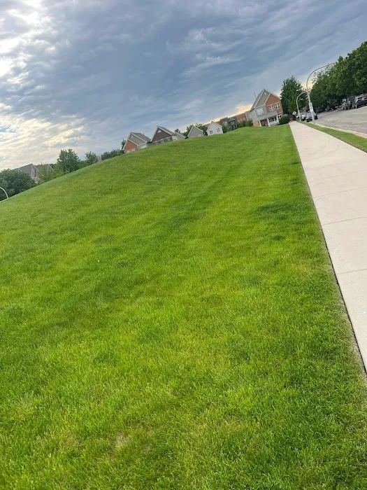 Sergio One Landscaping Inc Picture 7