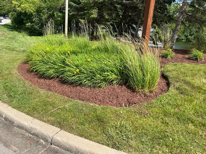 Sergio One Landscaping Inc Picture 4