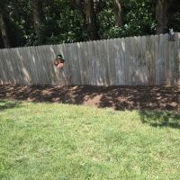 Jake's Lawn Care ico