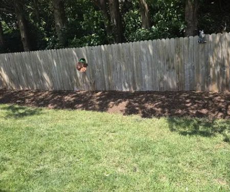 Jake's Lawn Care