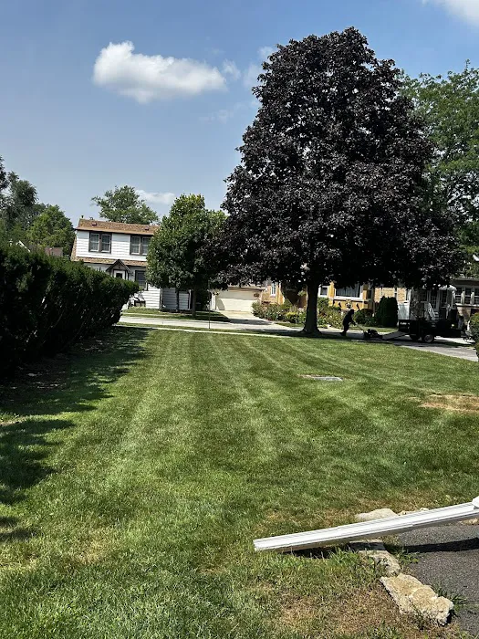 CORNE LANDSCAPENING LLC Picture 7