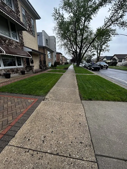 CORNE LANDSCAPENING LLC Picture 5