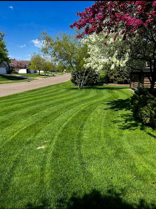 CORNE LANDSCAPENING LLC Picture 8