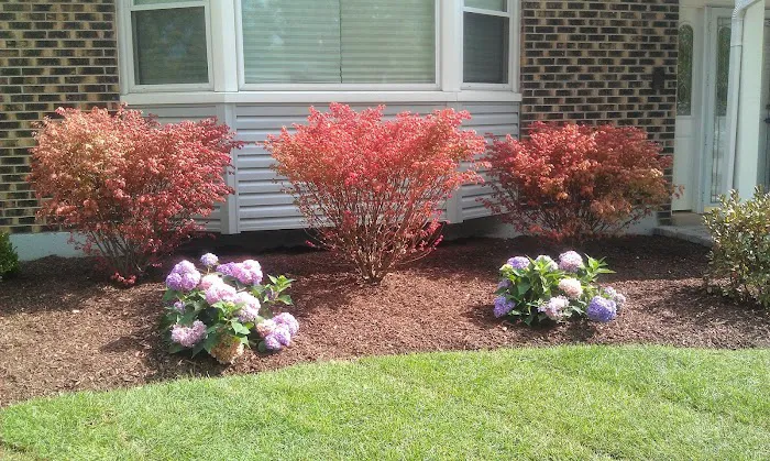 Romano Landscape LLC Picture 3