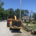 New look lawn & tree full service inc
