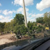 Long's Landscaping ico