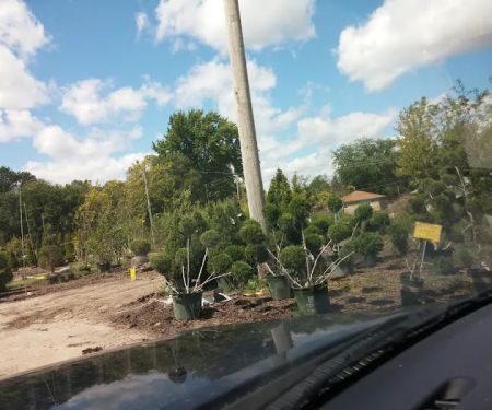 Long's Landscaping