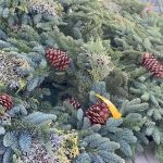 Graff Gardens & Farm