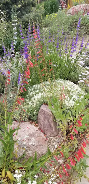 Coventry Gardeners & Landscaping, Ltd Picture 6