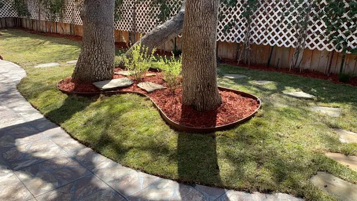 Westmont Landscaping Picture 3