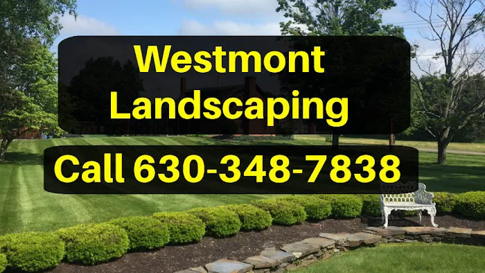 Westmont Landscaping Picture 5