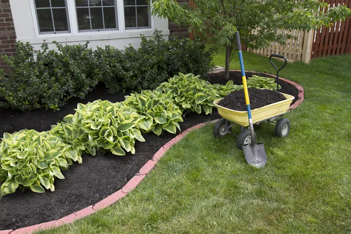 All American Landscaping Picture 2