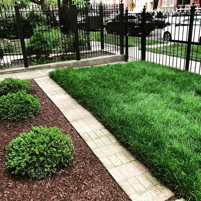 GOT2 Lawncare Picture 10