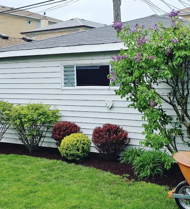 GOT2 Lawncare Picture 8