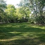 Tasso's Property Maintenance