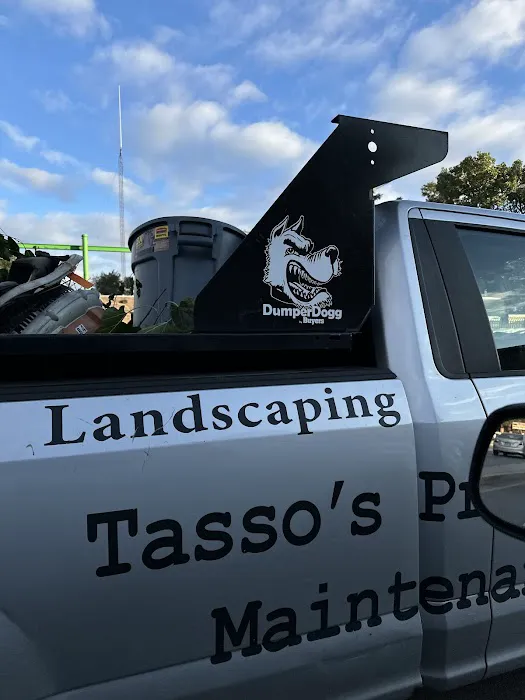 Tasso's Property Maintenance Picture 5