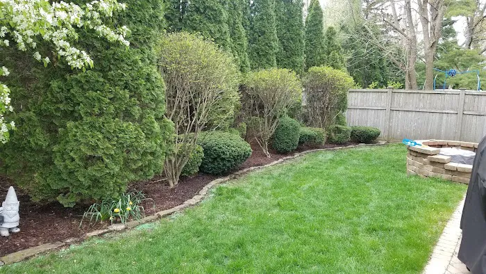 Tasso's Property Maintenance Picture 6