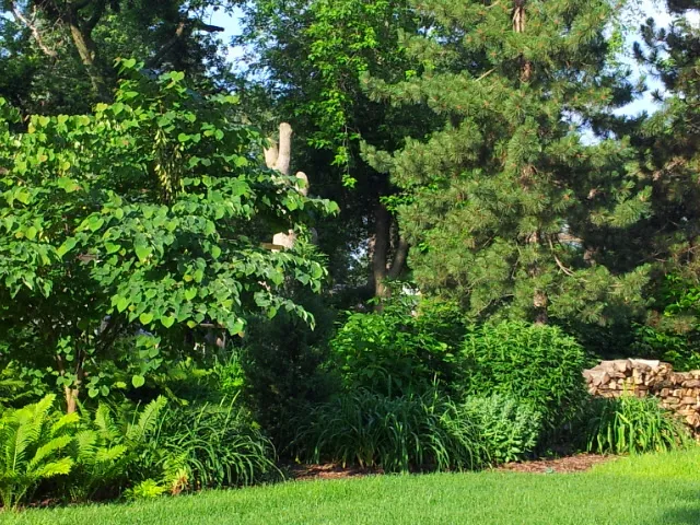 Moore's Lawn Maintenance Picture 5