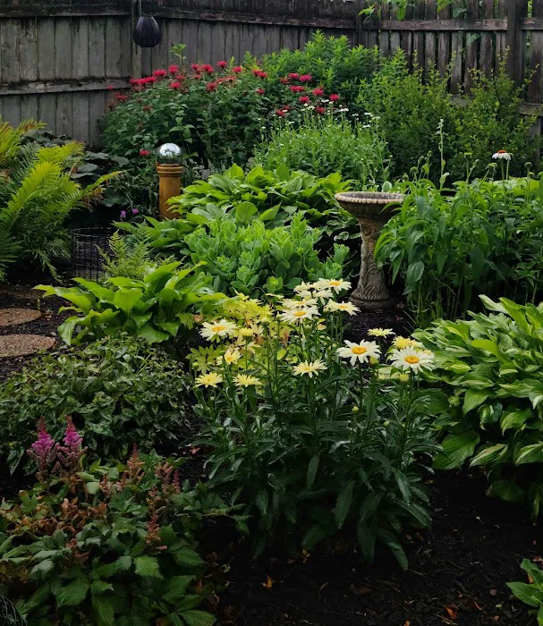 Basic Landscapes, Inc Picture 3