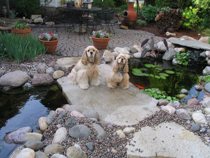 Basic Landscapes, Inc Picture 10