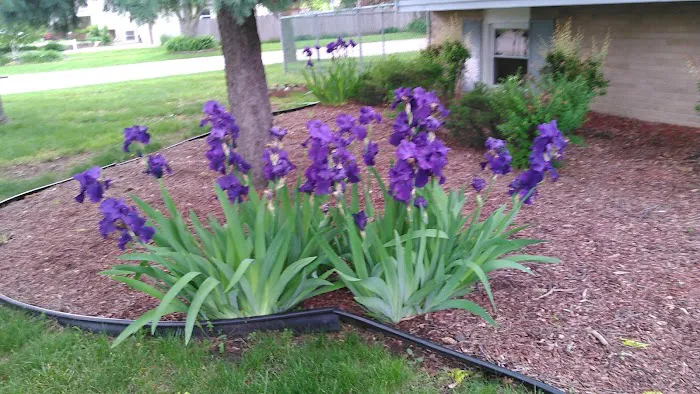 Tameling's Landscape Supply Picture 2