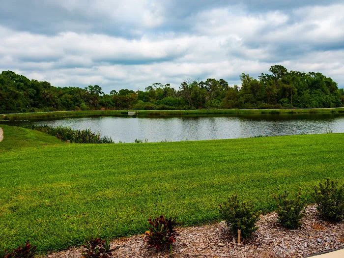 M&R Landscape Drainage Picture 5