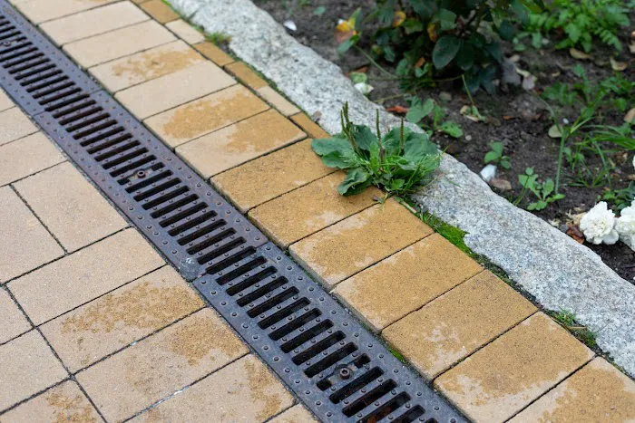 M&R Landscape Drainage Picture 4