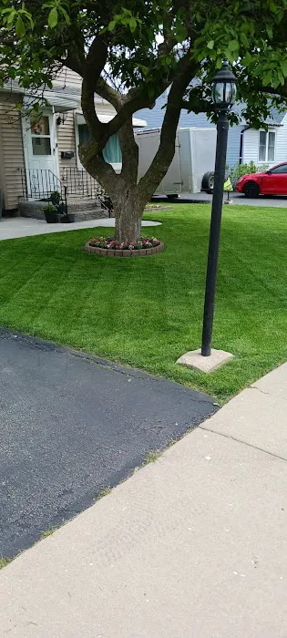 C & Gonzales Landscaping Services Picture 4