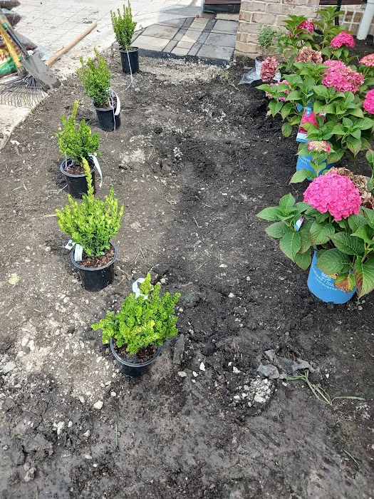 C & Gonzales Landscaping Services Picture 2