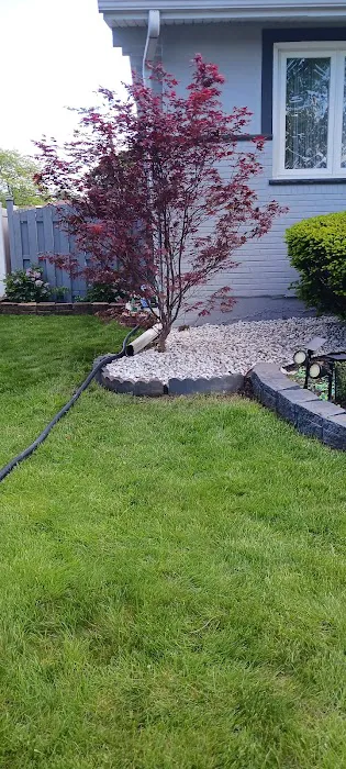 C & Gonzales Landscaping Services Picture 10
