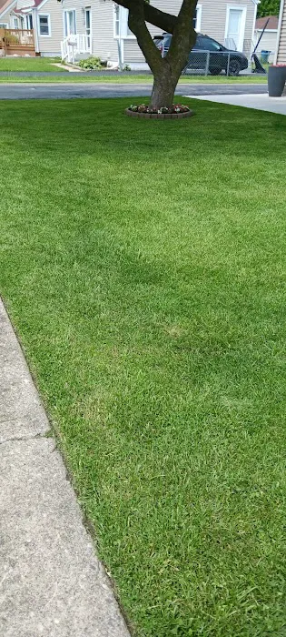 C & Gonzales Landscaping Services Picture 3