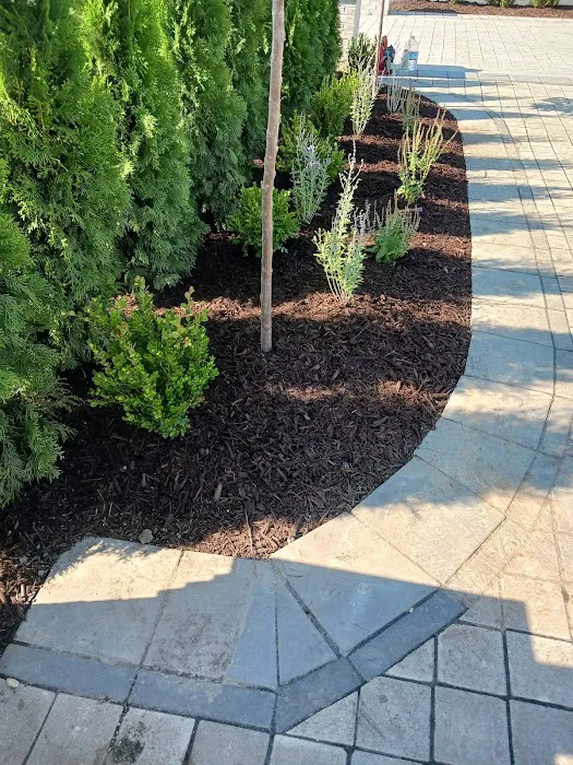 C & Gonzales Landscaping Services Picture 6