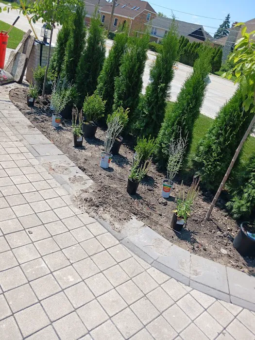 C & Gonzales Landscaping Services Picture 1
